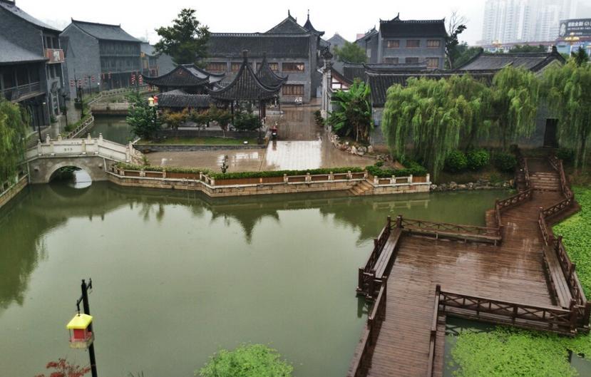 沙皮狗逃离